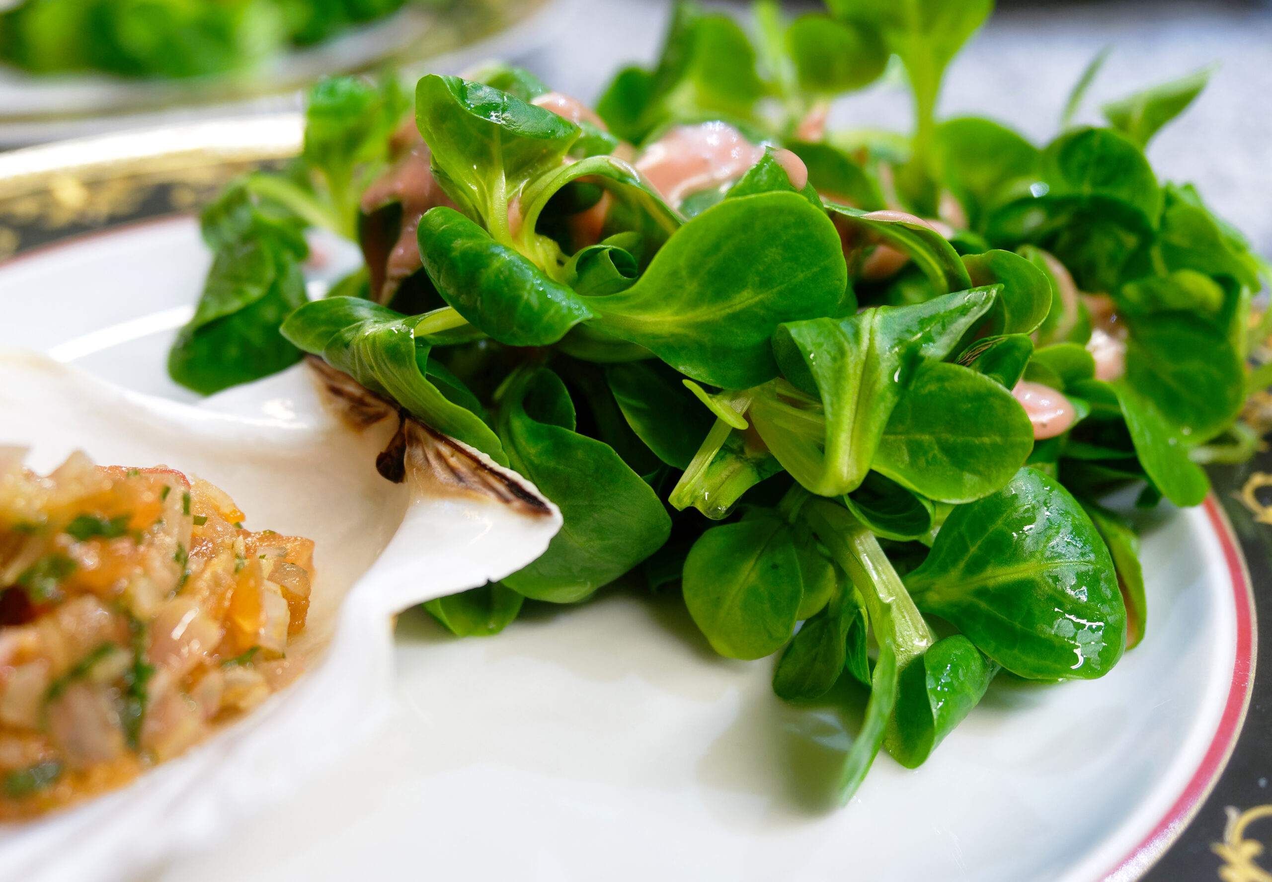 Feldsalat an Kartoffeldressing - TELLERGOLD