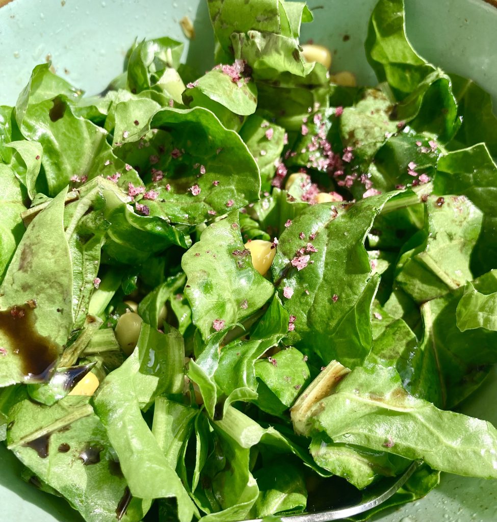 2023-04-tellergold-mangoldsalat-IMG_6550